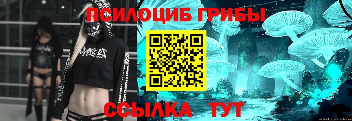 Псилоцибиновые грибы ЛСД Острогожск