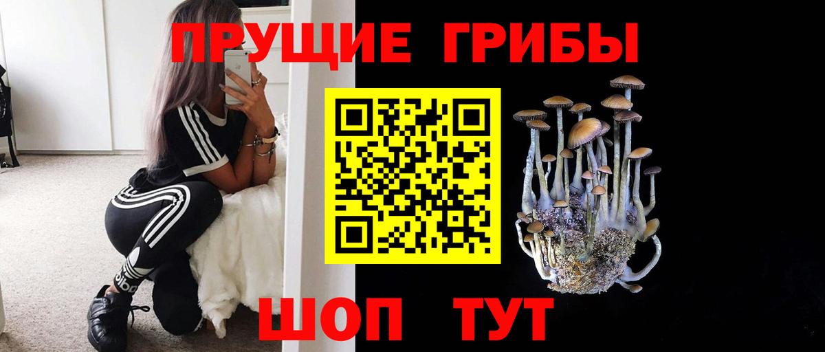 Острогожск  Галлюциногенные грибы мухоморы  Псилоцибиновые грибы Cubensis  купить наркотики цена  Вход с VPN 